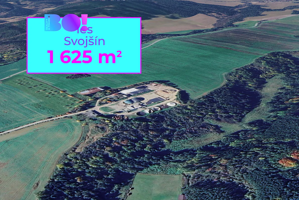 Prodej lesa 1625 m²